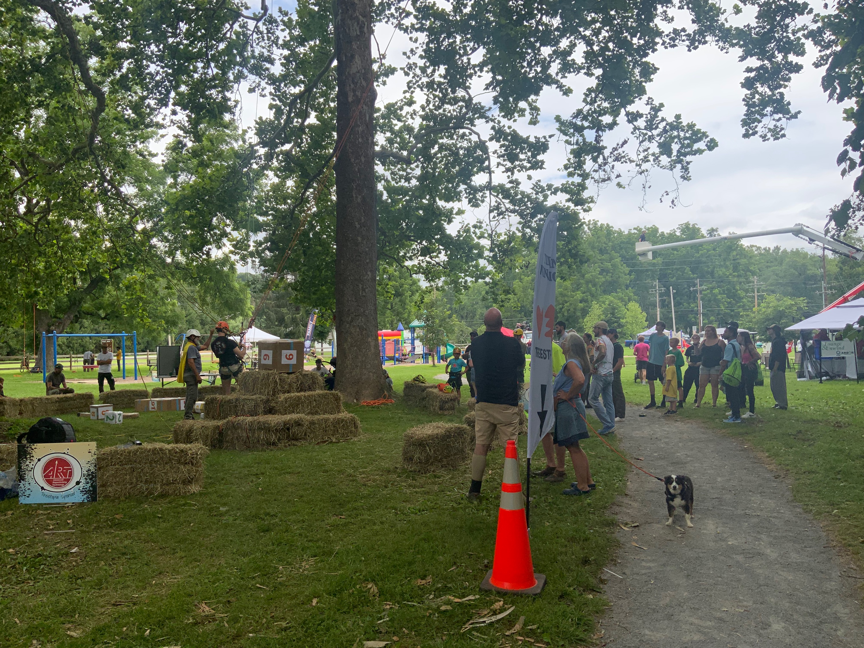 Walker Tree Care Inc. Image