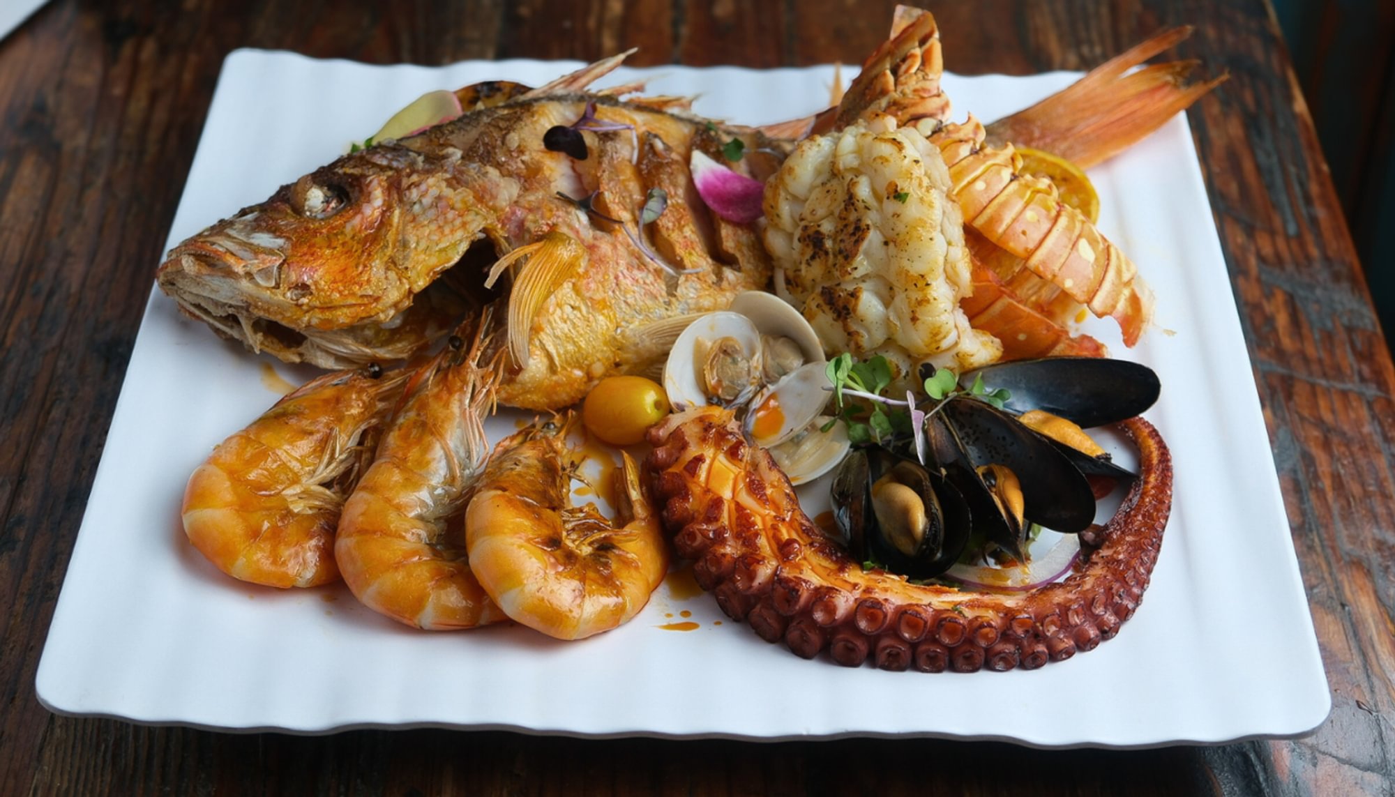 Seafood Catch