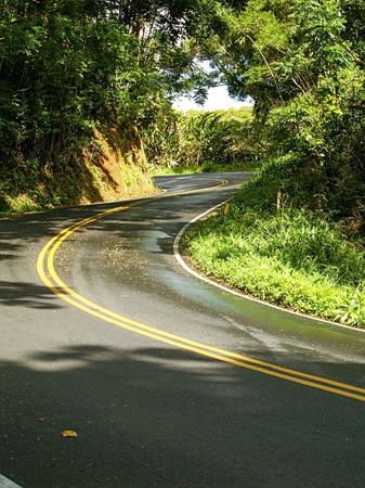 Images Manaloha Rent A Car