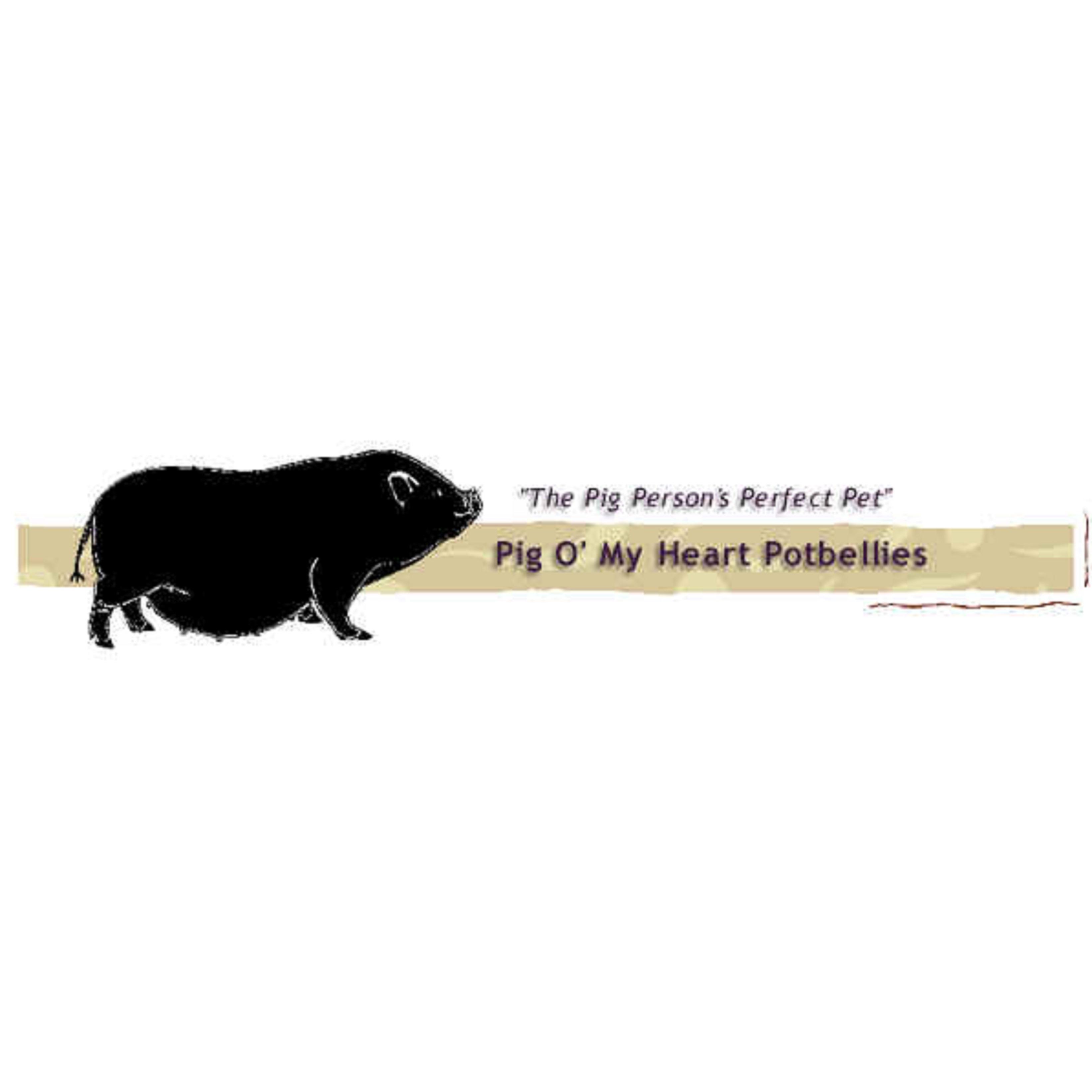 Pig O&apos;My Heart Potbellies Logo