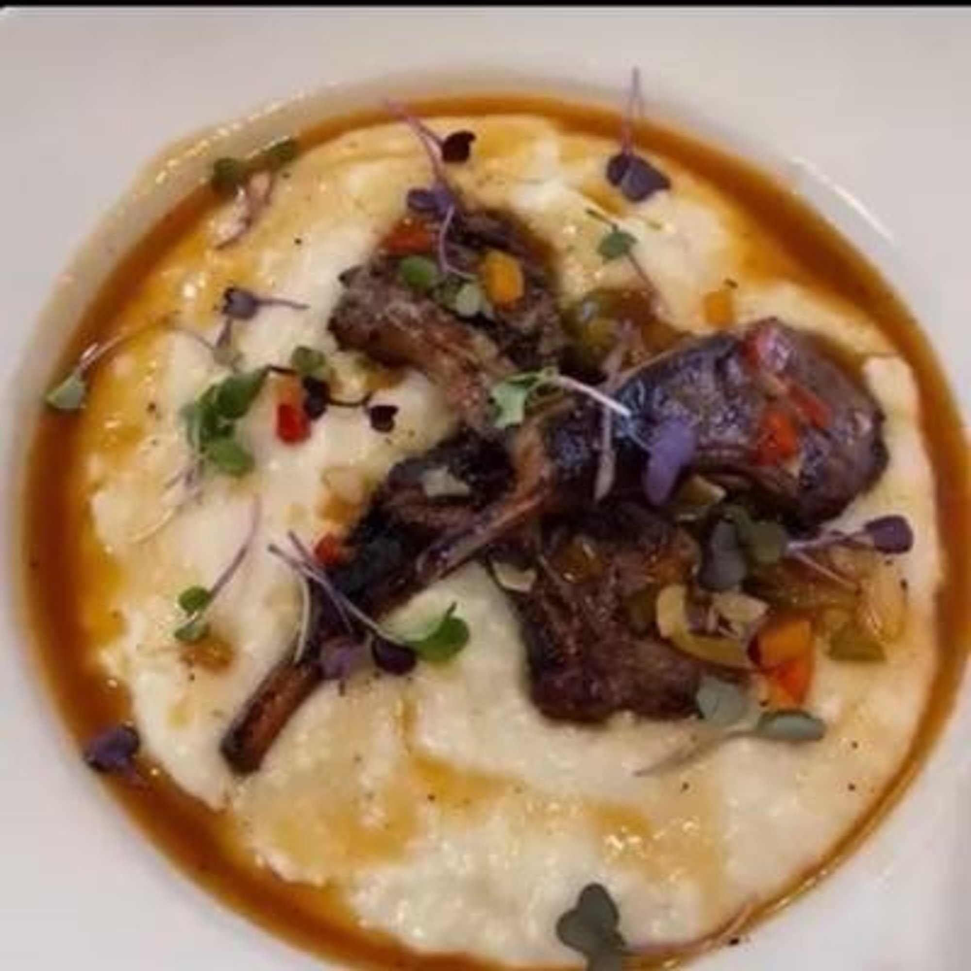 Frenchie - Lamb & Grits