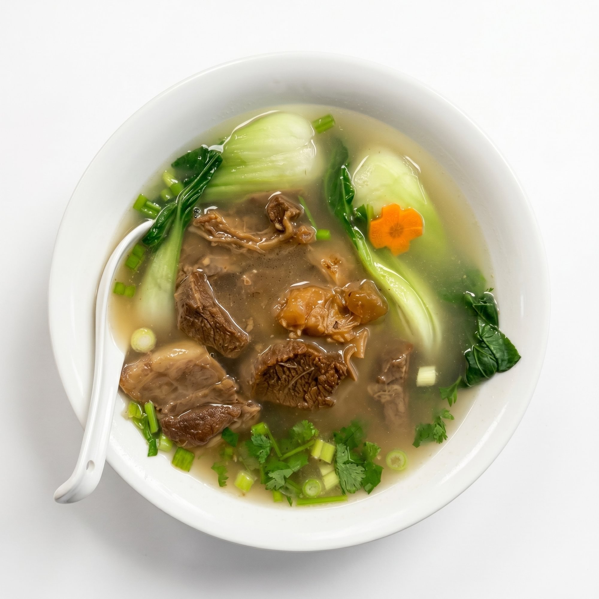 Cantonese Beef Stew Noodle Soup