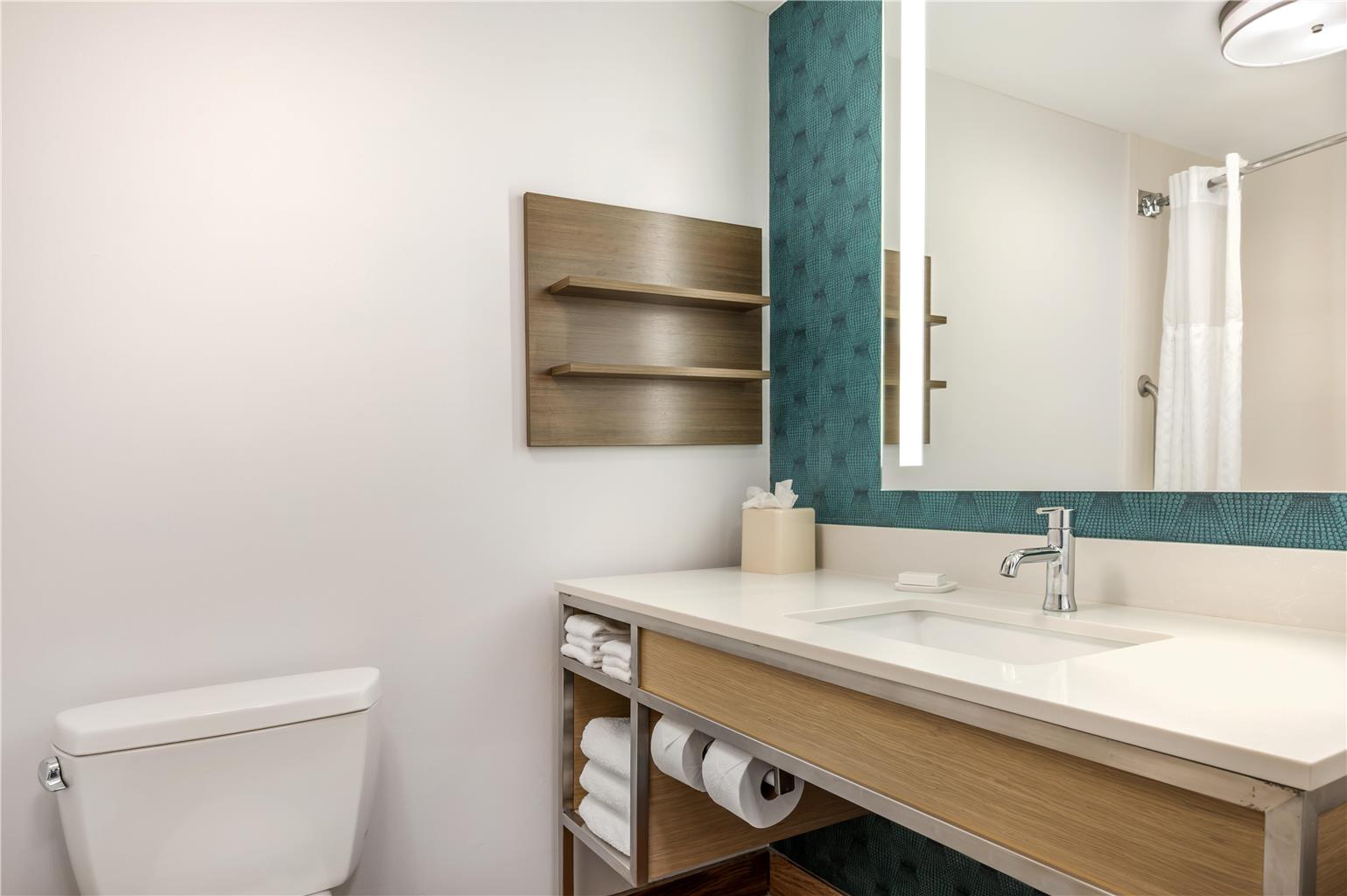 Hilton Garden Inn Wisconsin Dells Image