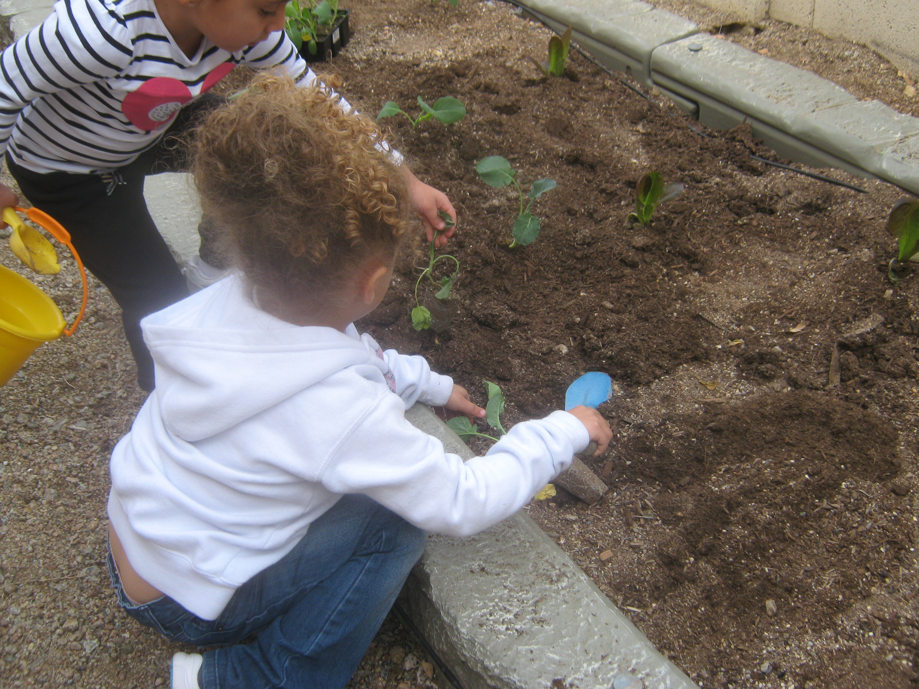 La Canada KinderCare Photo