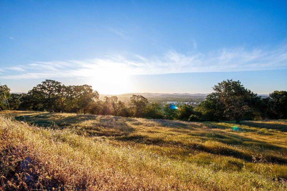 View from one of the Skyline home sites