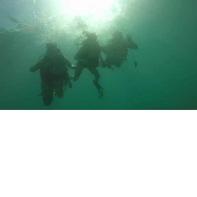 Try Scuba Diving - Key West Coupons near me in Key West ...