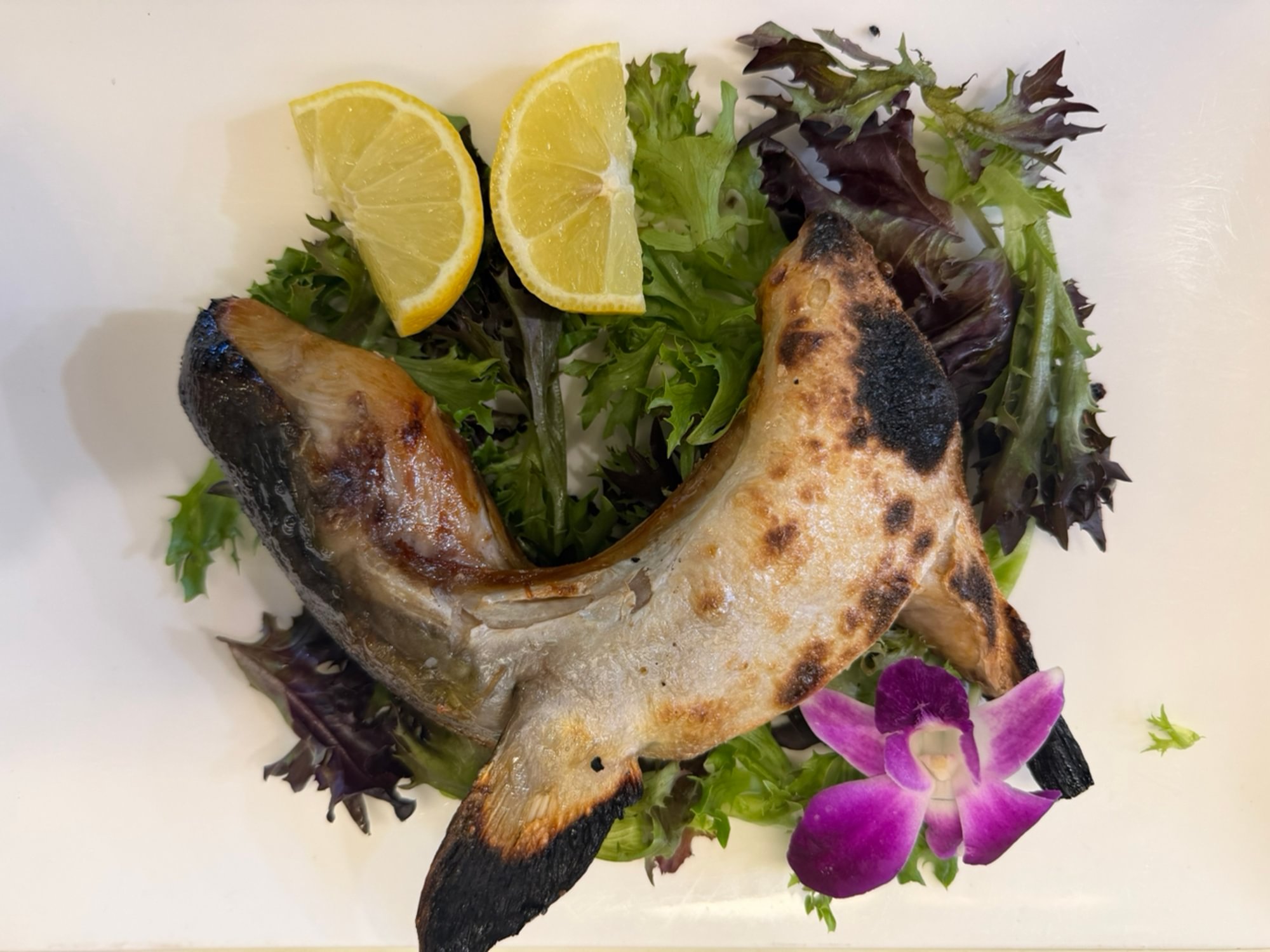 Yellowtail Kama