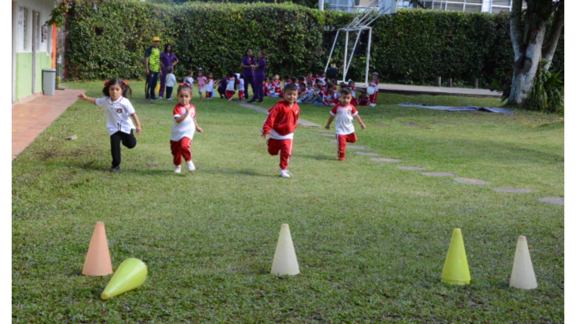 Galería en miniatura