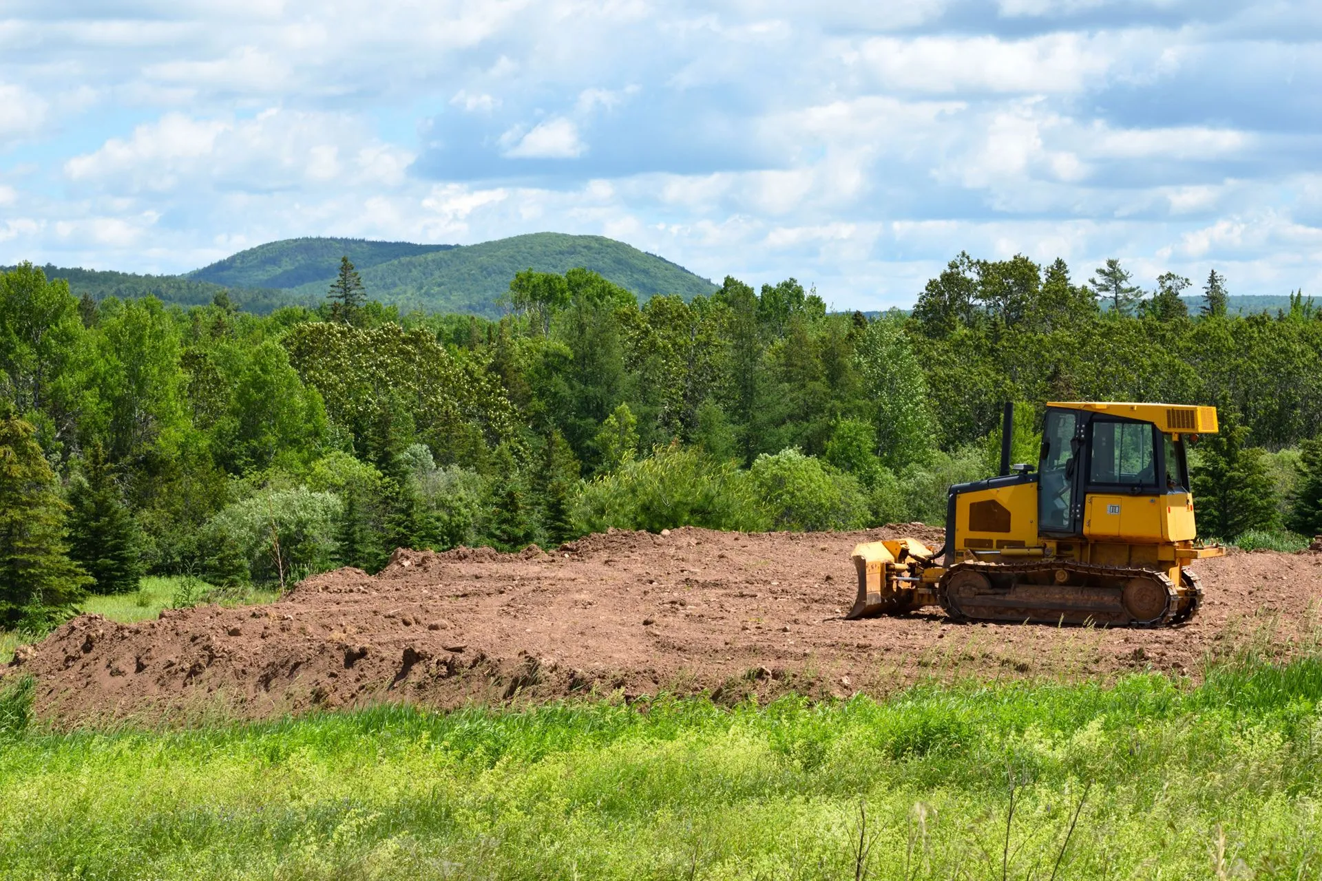 Land Clearing