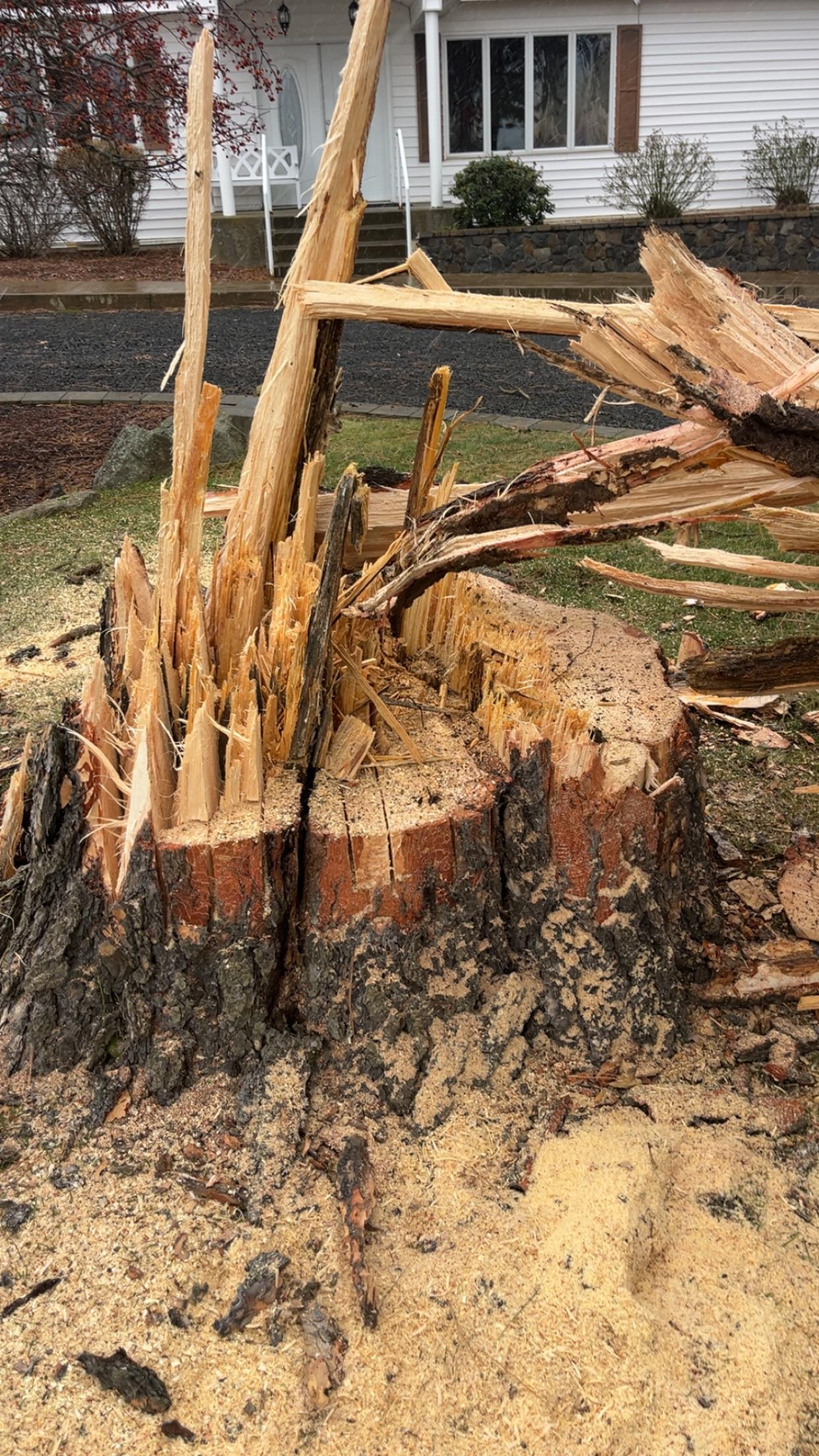 Timber Valley Tree Co. Image