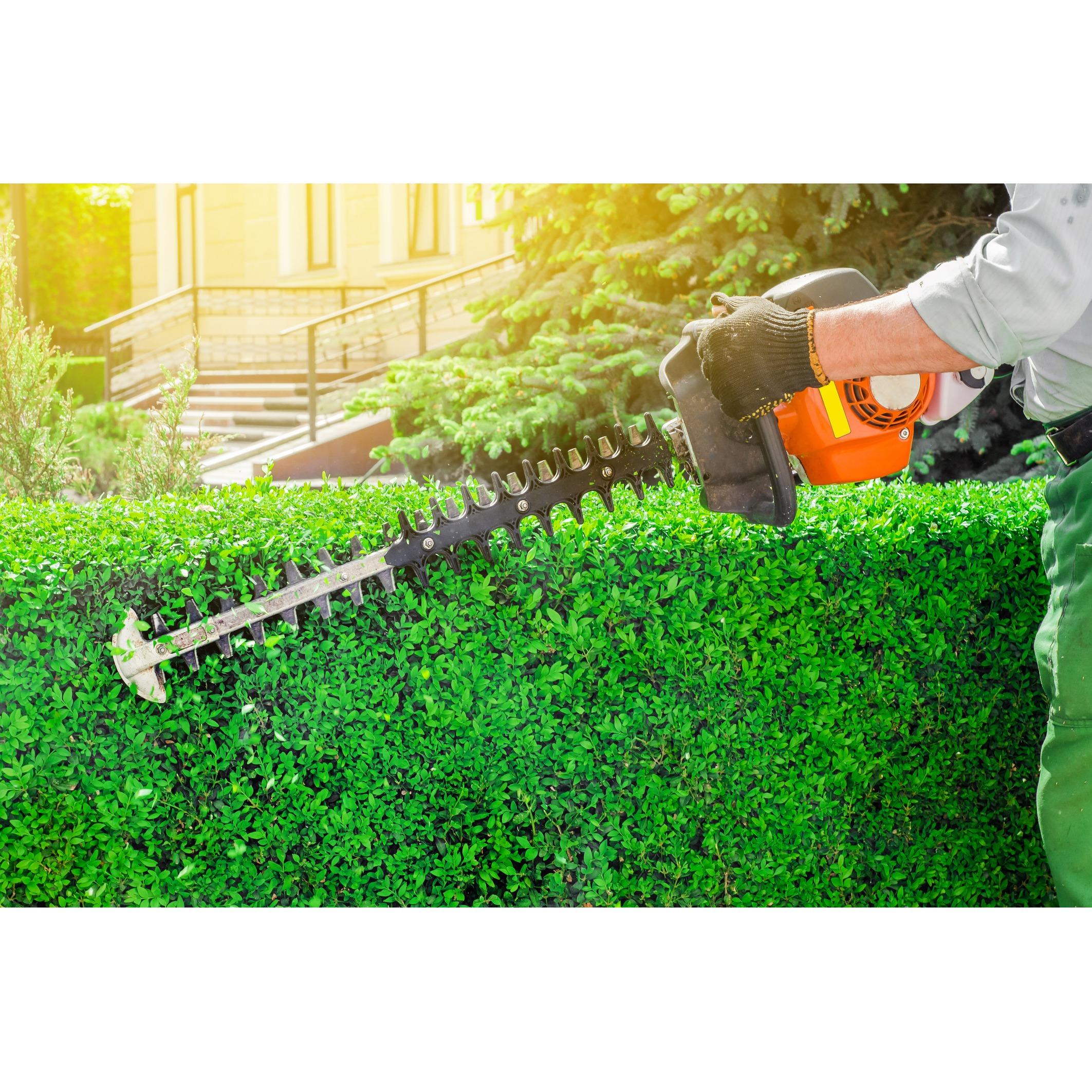 Bright Tree Service