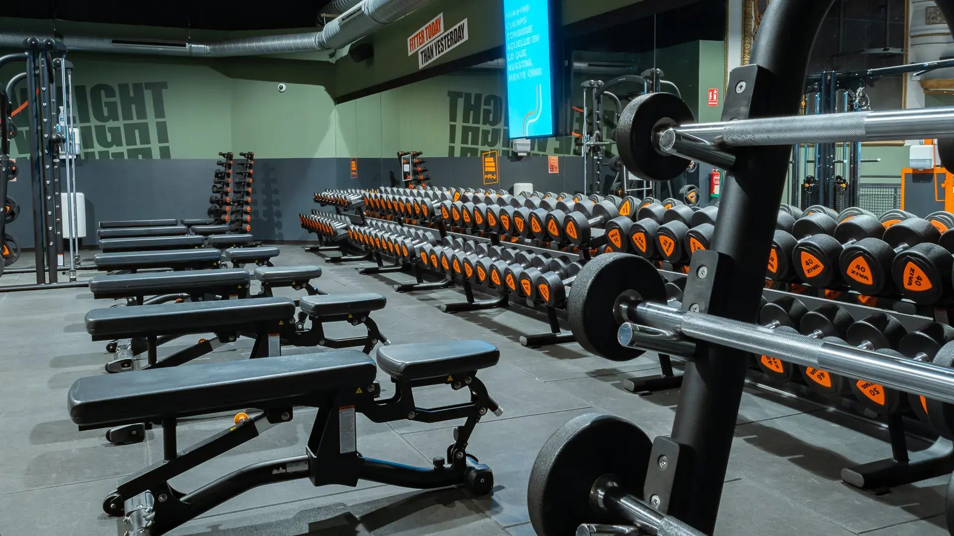 Galería de imágenes