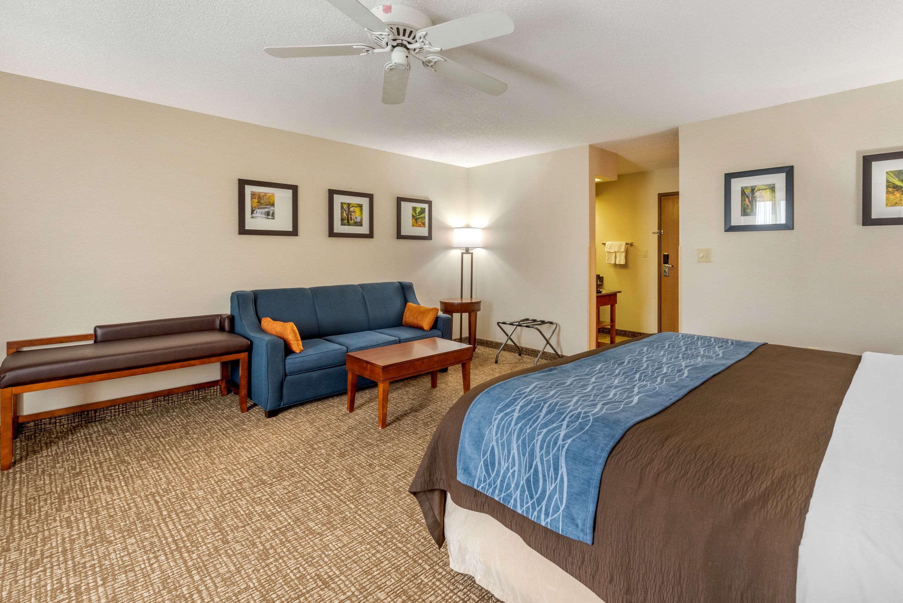 Comfort Inn Anderson South Photo