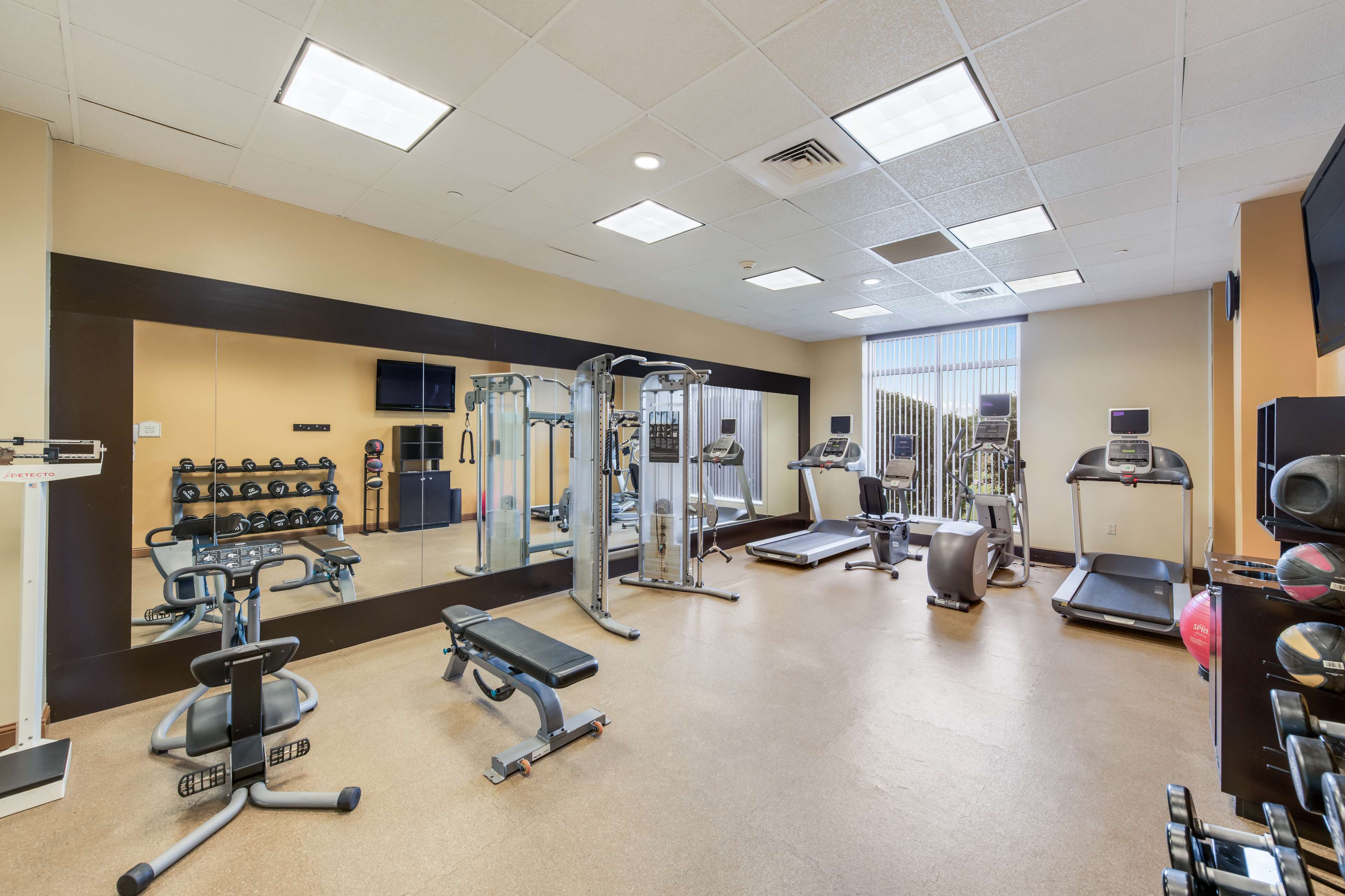 Health club  fitness center  gym