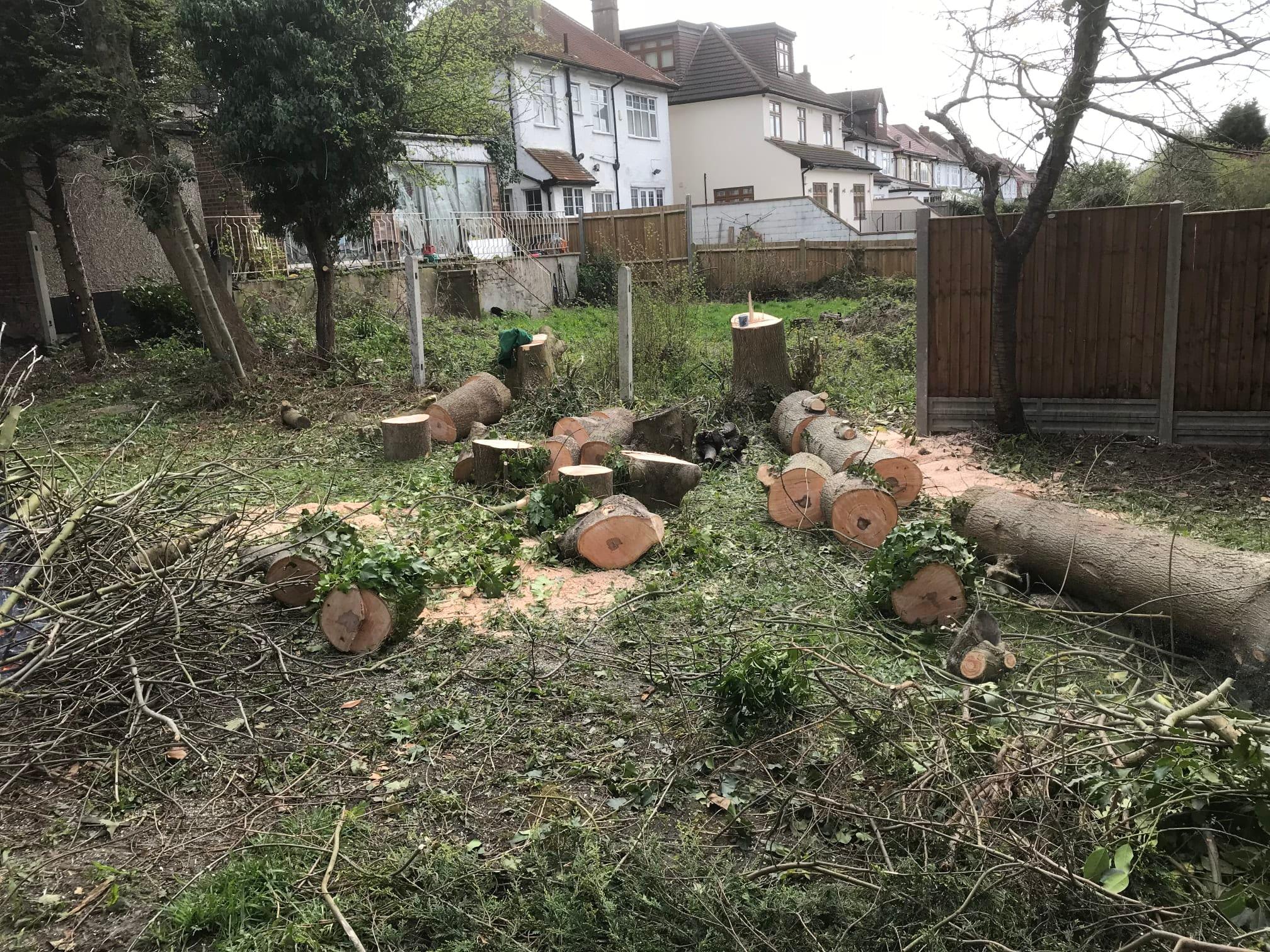 Images Tree & Garden Services