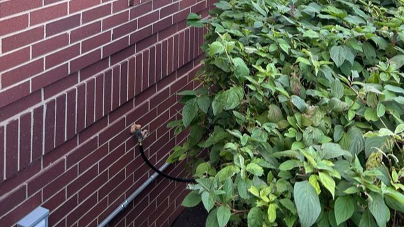 Premiers Blinds &amp; Drapes IL Logo