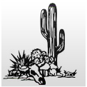 Tax Strategies Southwest