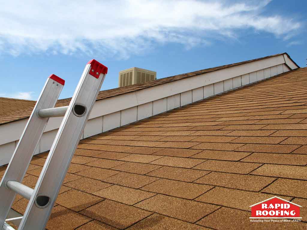 Rapid Roofing Image