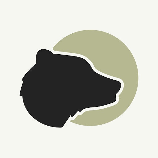 Wise Bear Creative