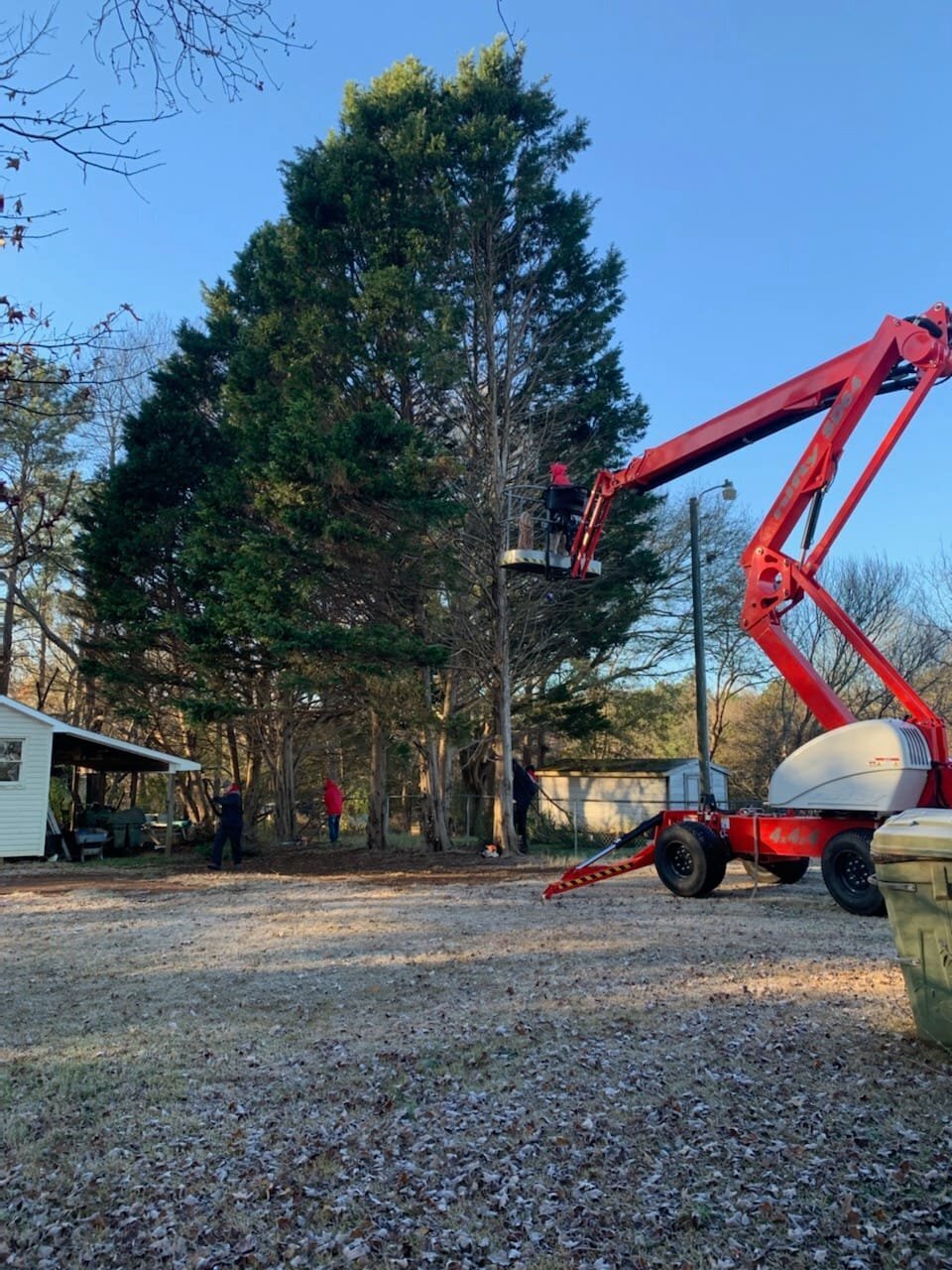 ALPHA TREE CARE LLC Image