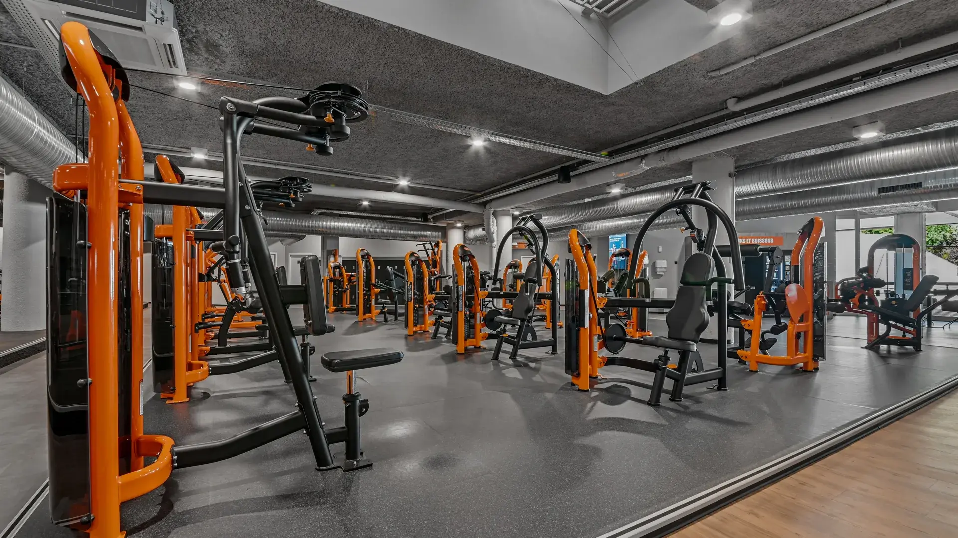 Miniature de la galerie