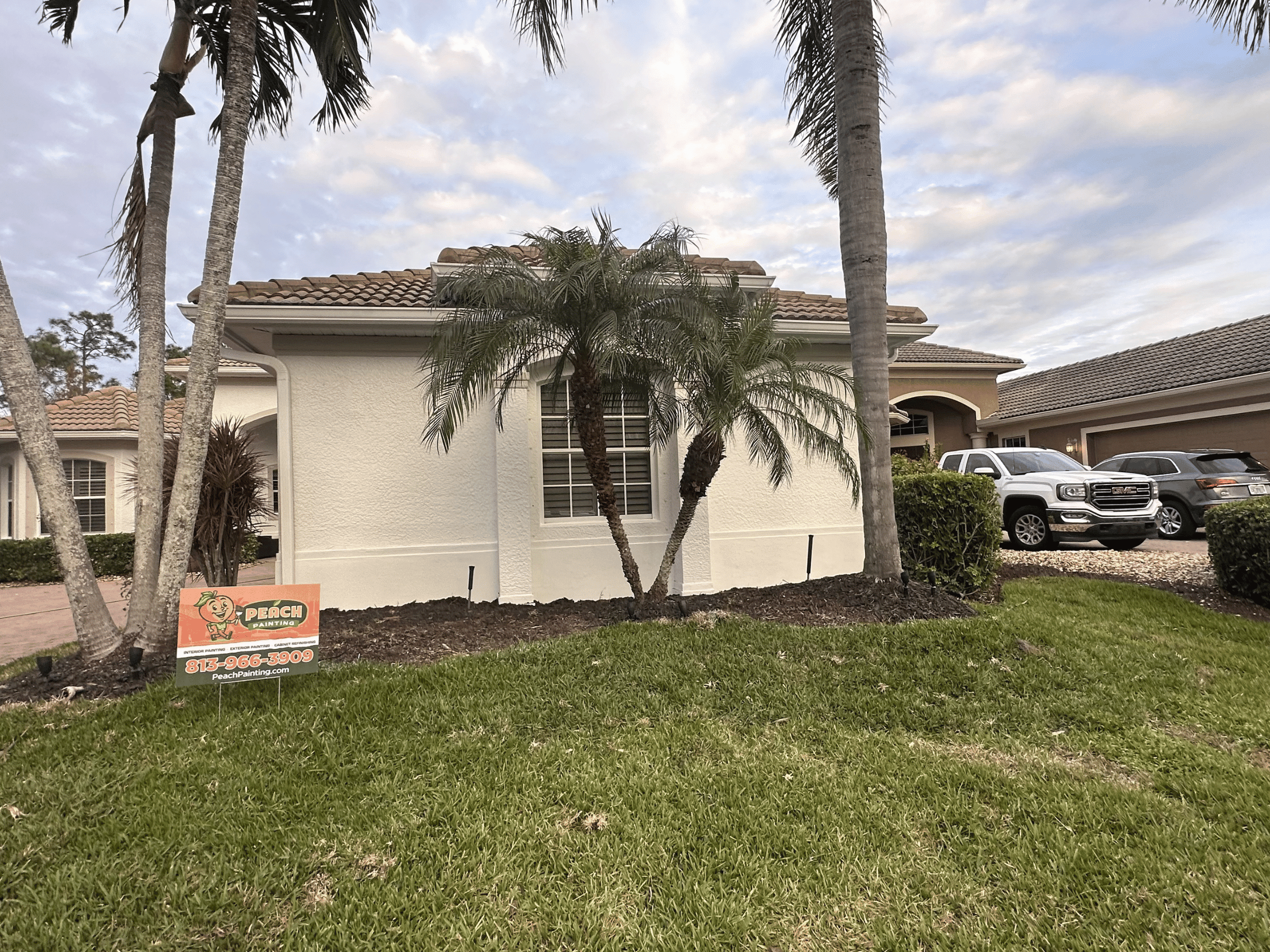 Peach Painting Image