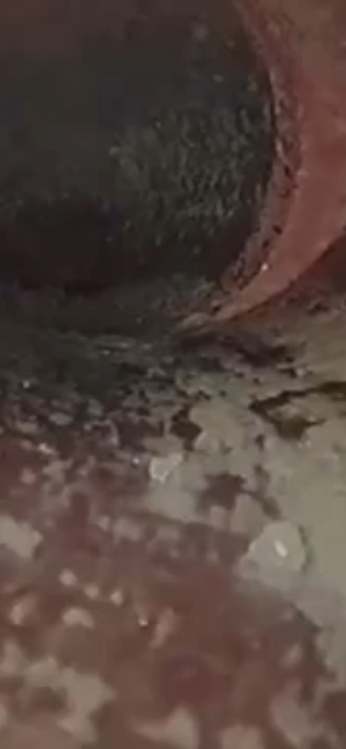 A1 Copper Repipes Inc. Image