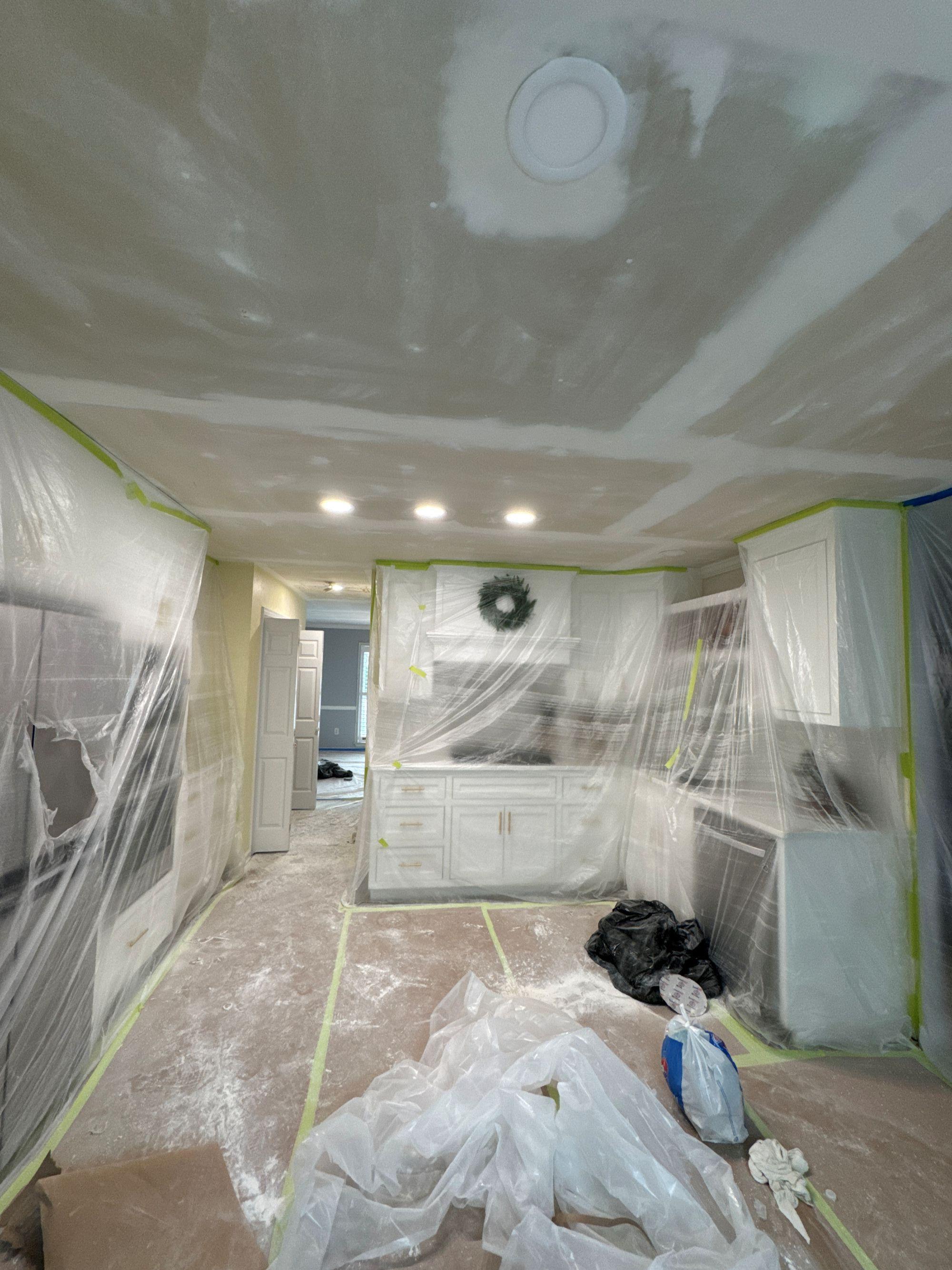 Blue Jay Painting Image