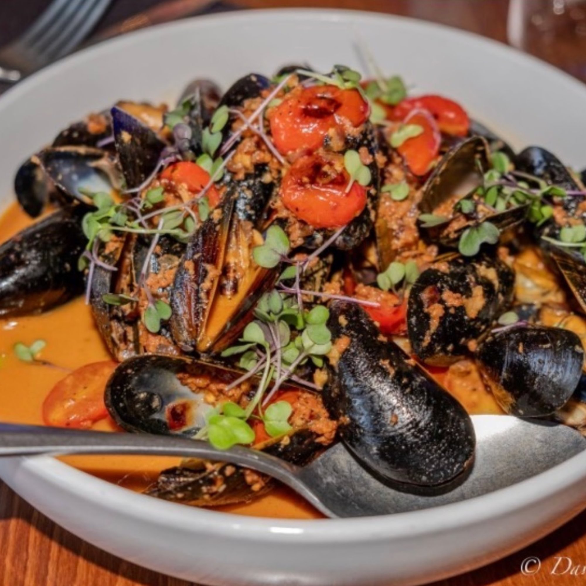 Steamed Mussels