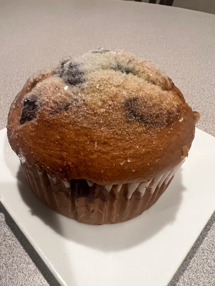 Blueberry Muffin