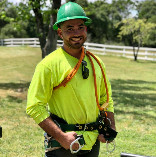 J The Tree Guy Image