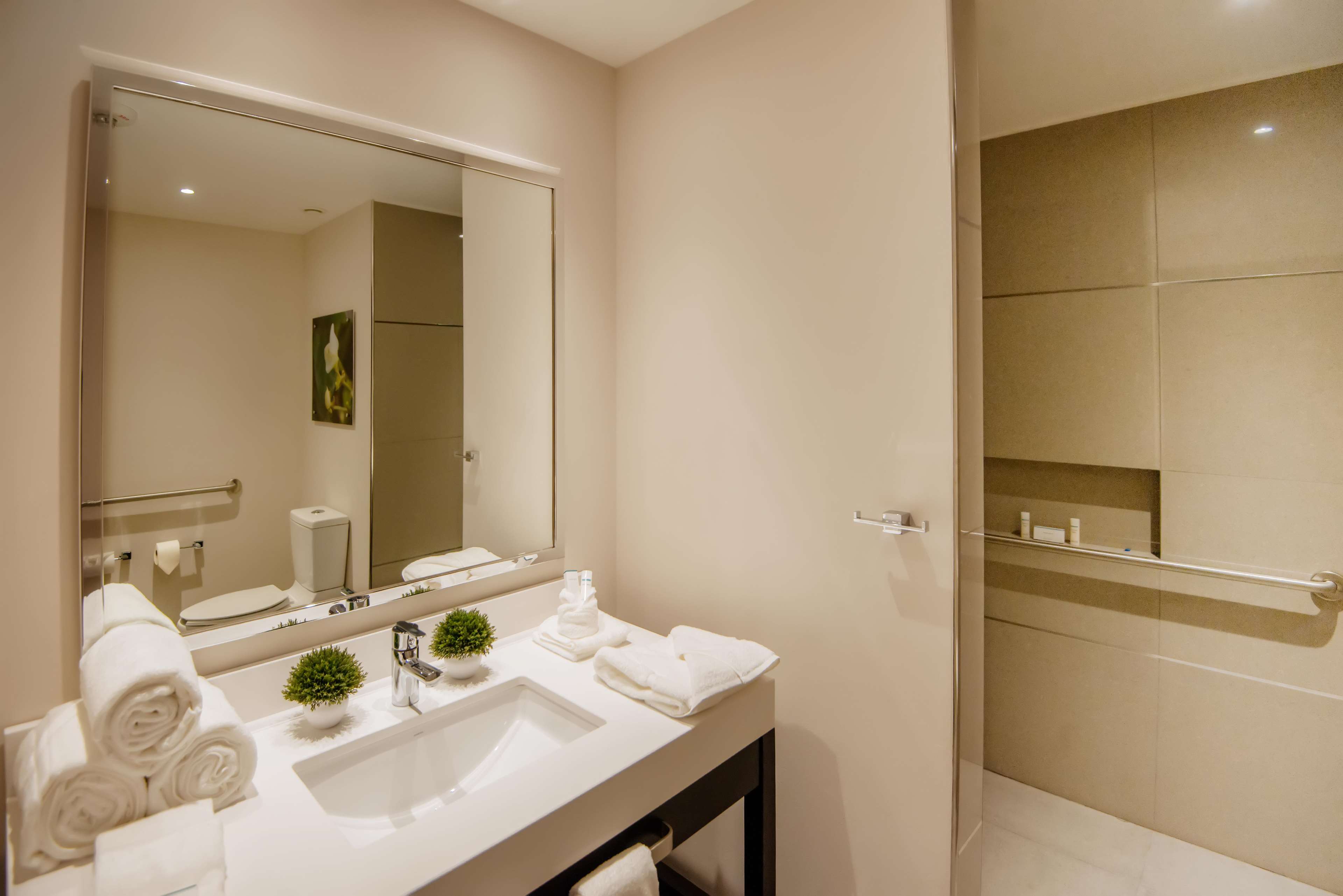 Images Hilton Garden Inn Puebla Angelópolis