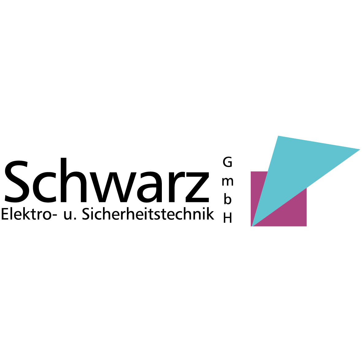 Logo von Schwarz GmbH Elektro- und Sicherheitstechnik