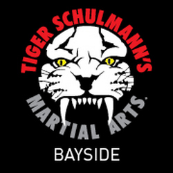 Tiger Schulmann's Martial Arts (Bayside, NY) Photo