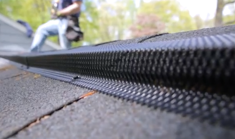 NJ Pest Control Image