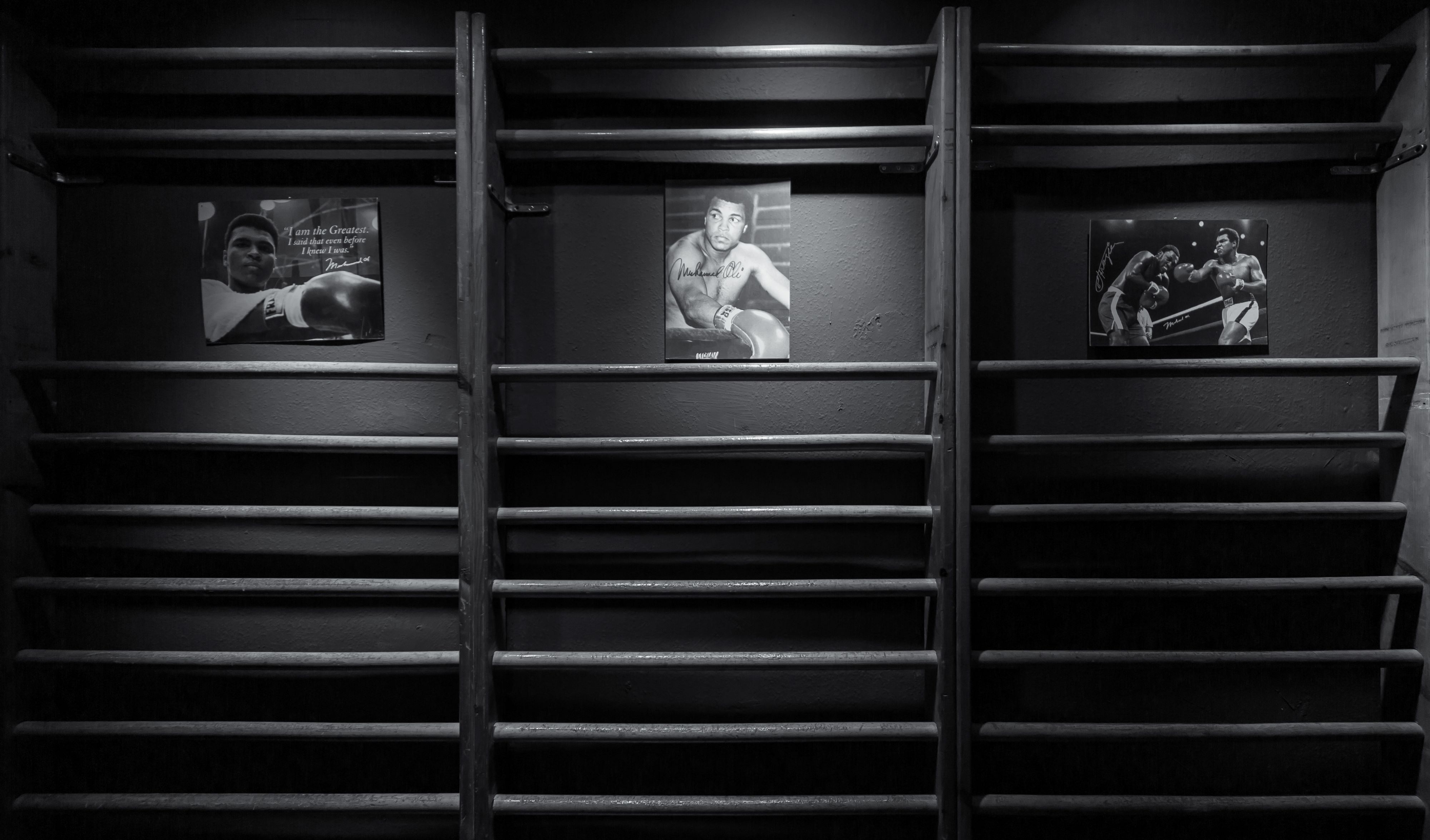 Galería en miniatura