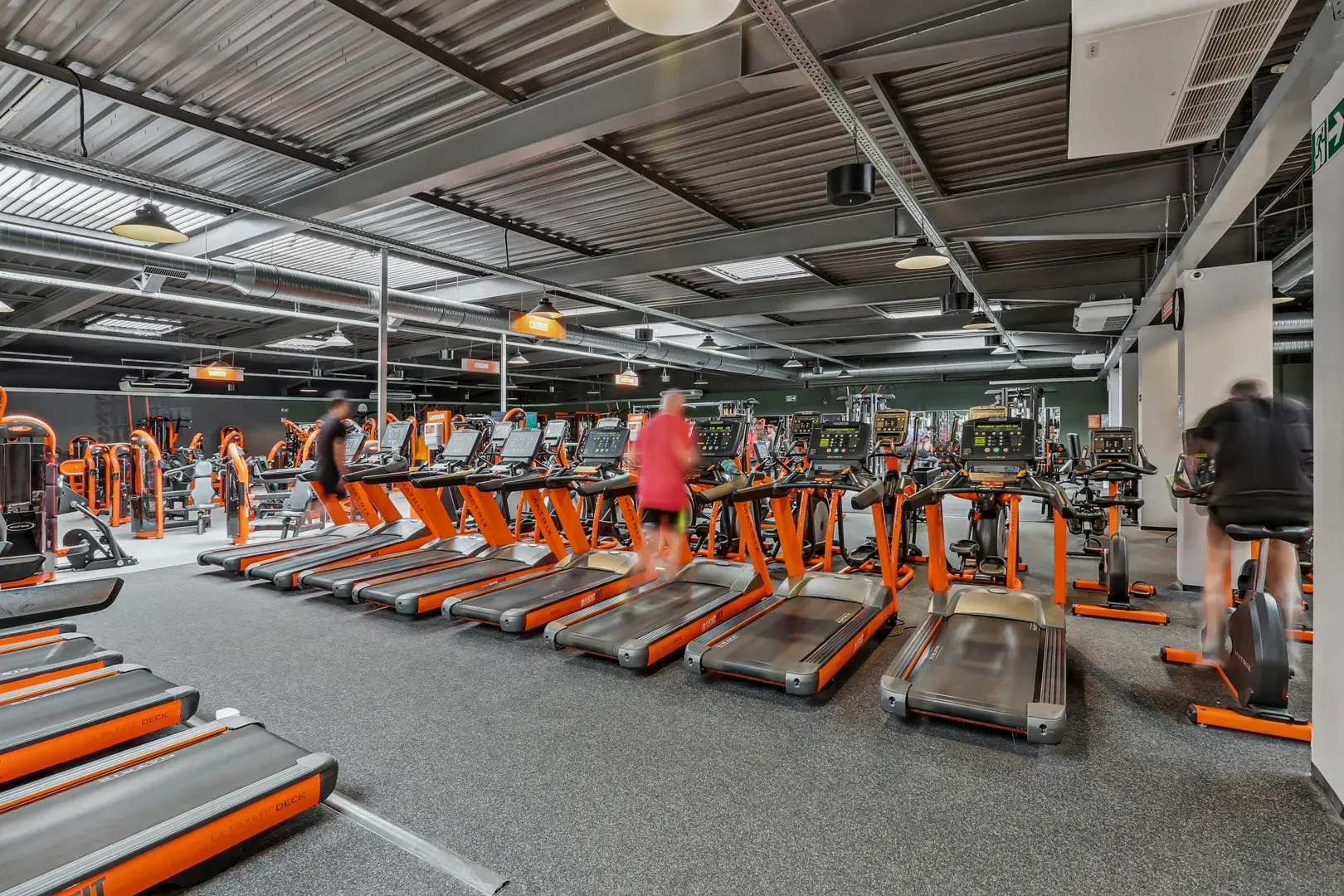 Miniature de la galerie