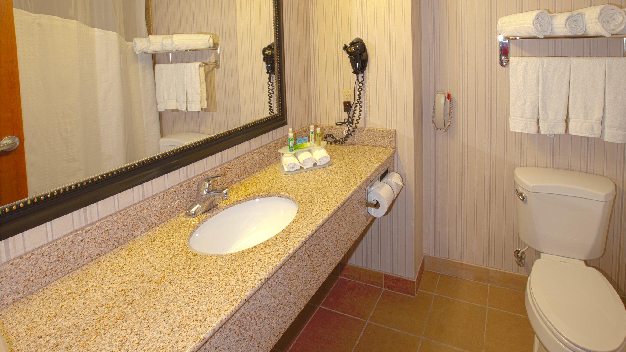 Holiday Inn Express & Suites Nampa - Idaho Center Photo