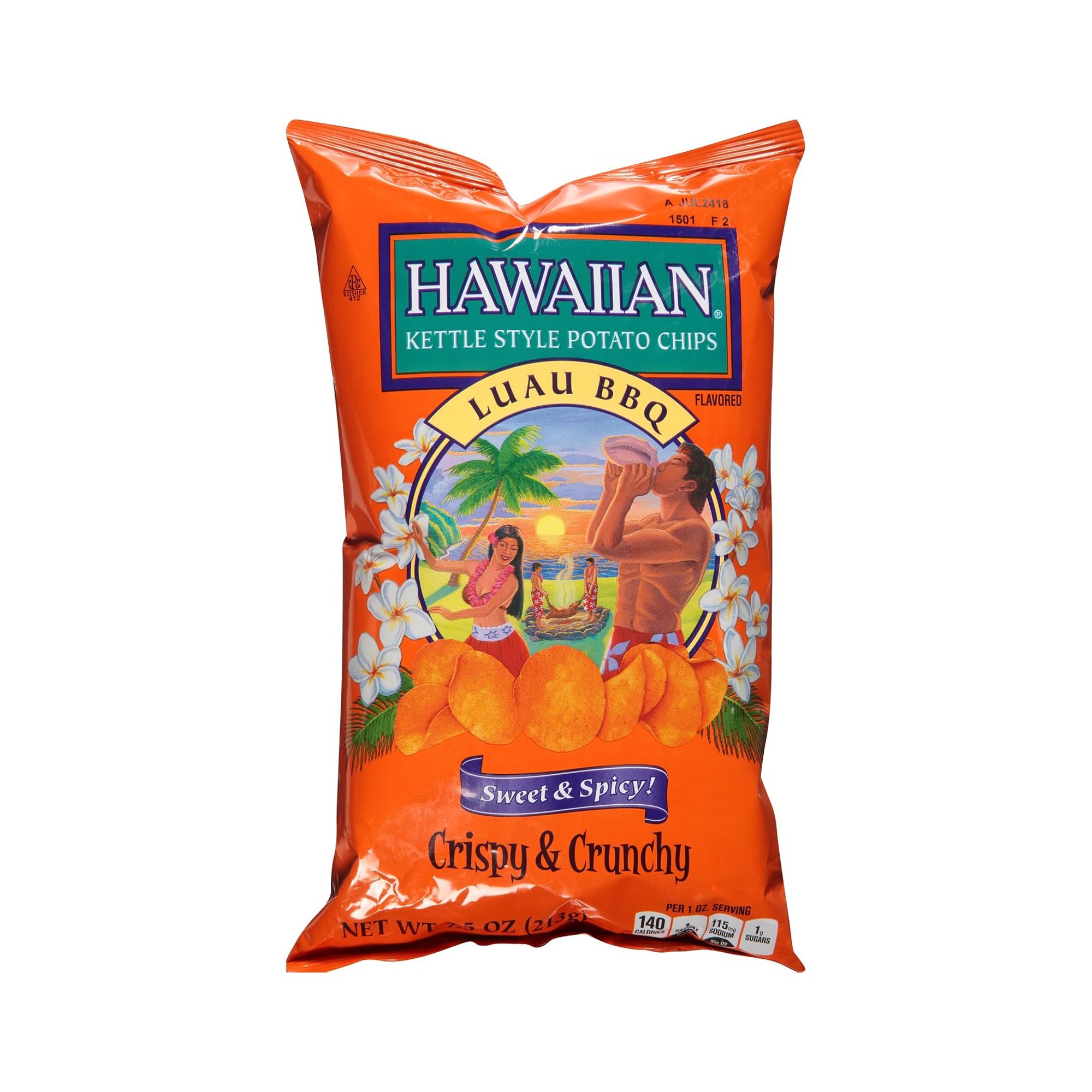 Hawaiian Luau BBQ