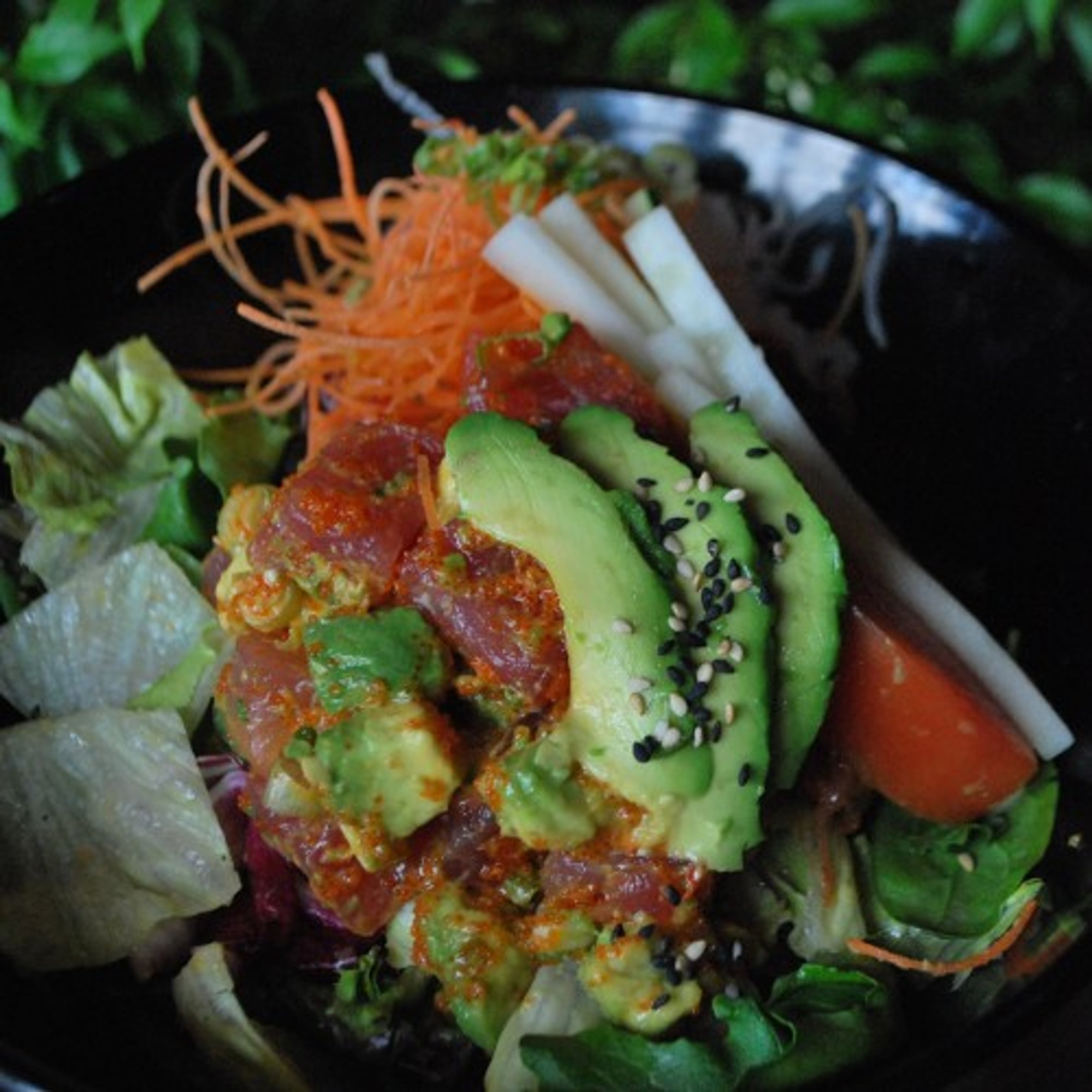 Spicy Tuna & Avocado Salad