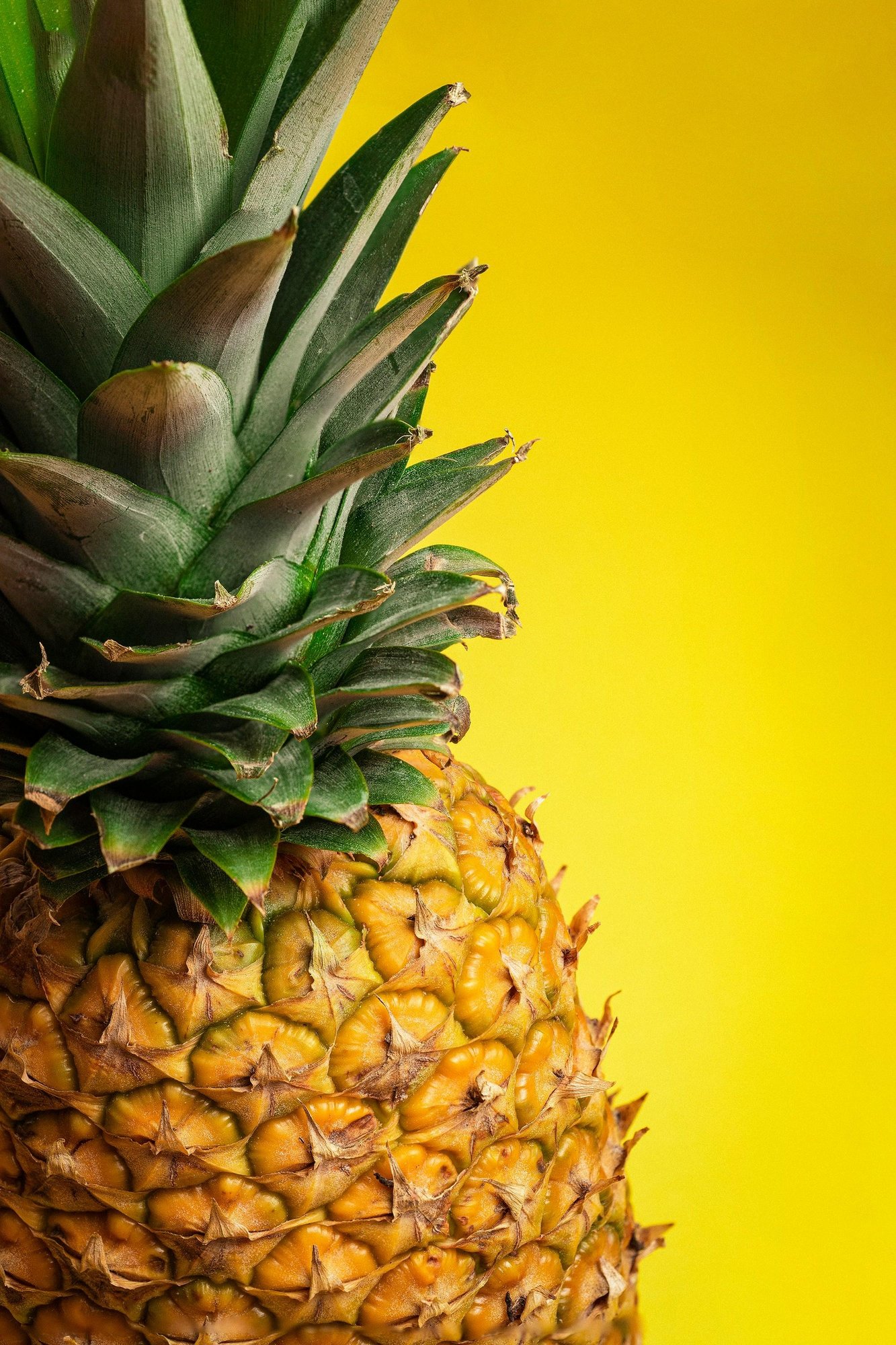 Pineapple Juice/Pina 21 oz