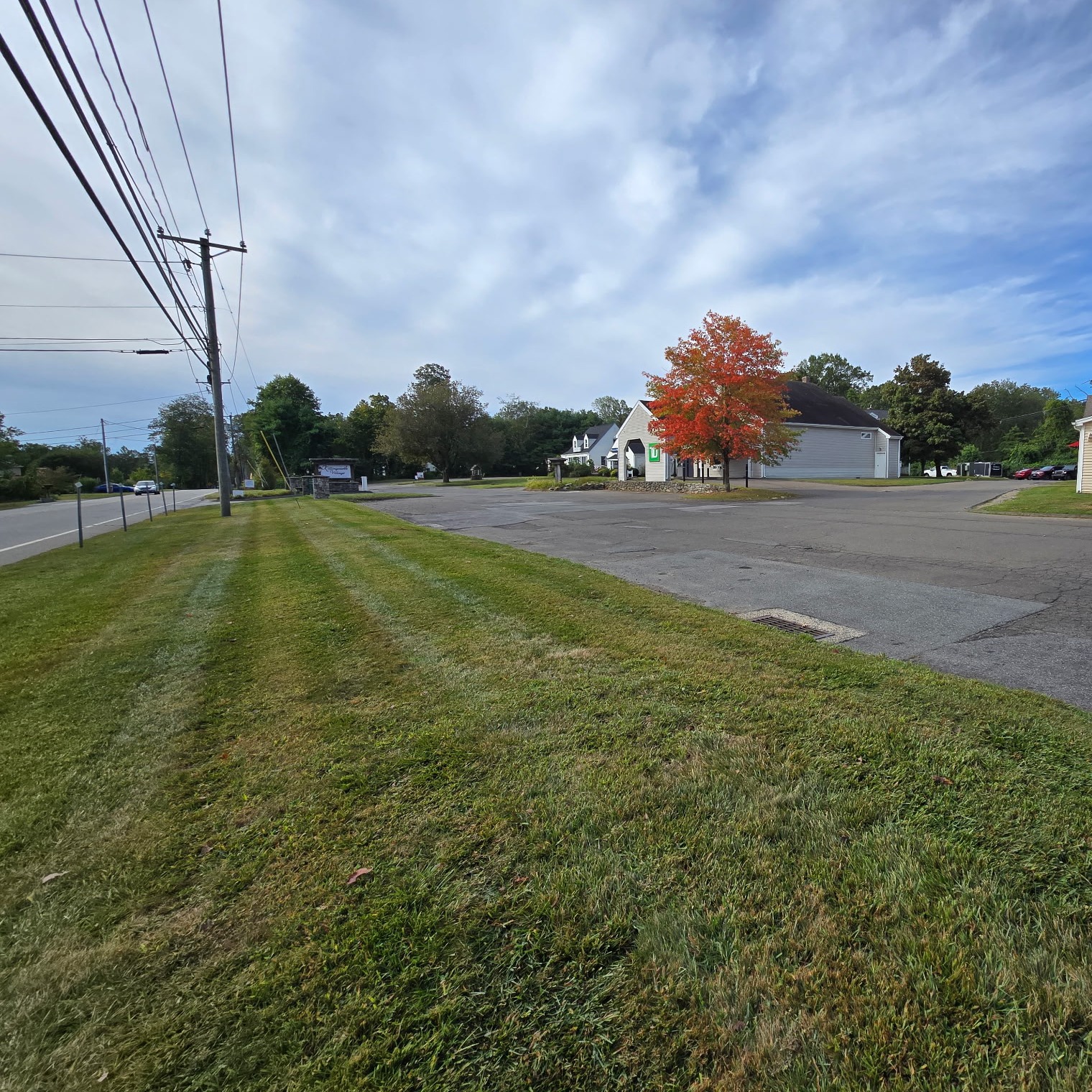 High Vibe Gardens Image