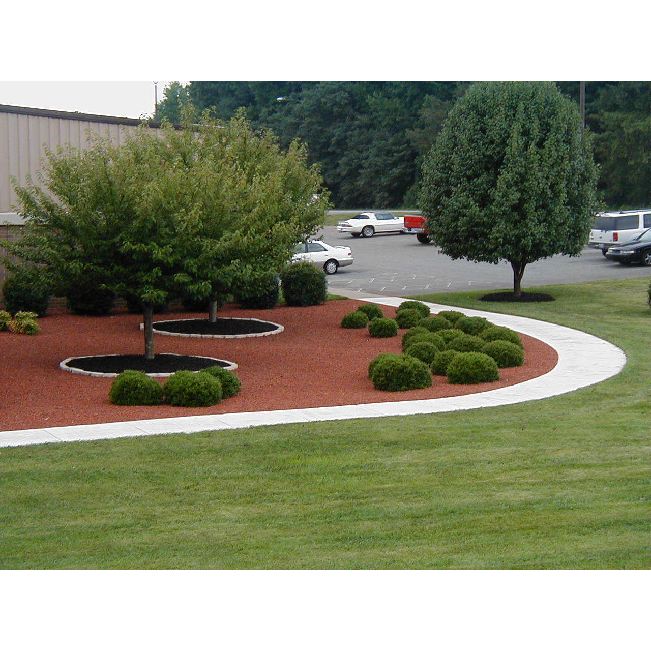 Tommy's Total Lawn Care LLC