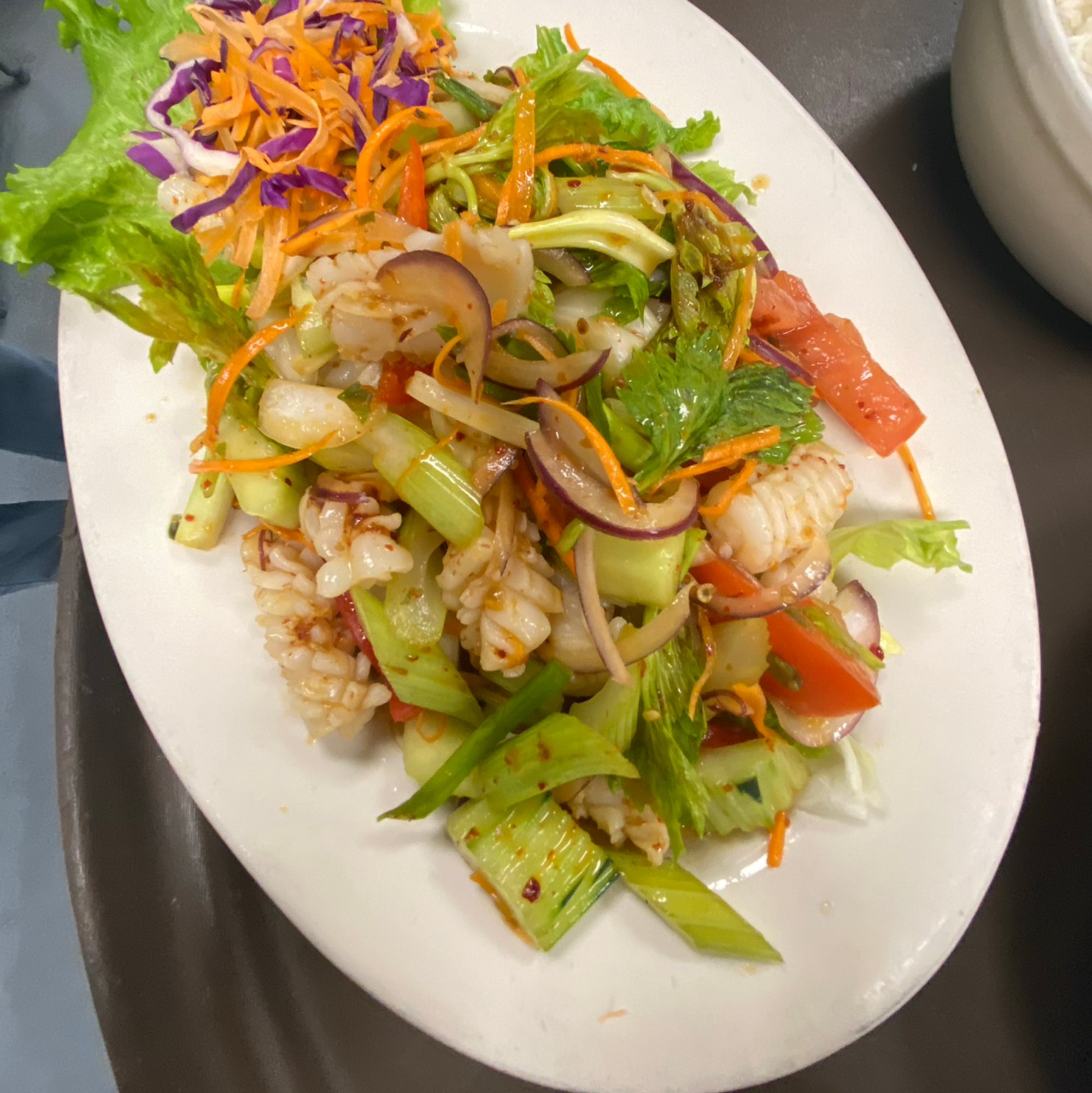 Y7: Squid Salad