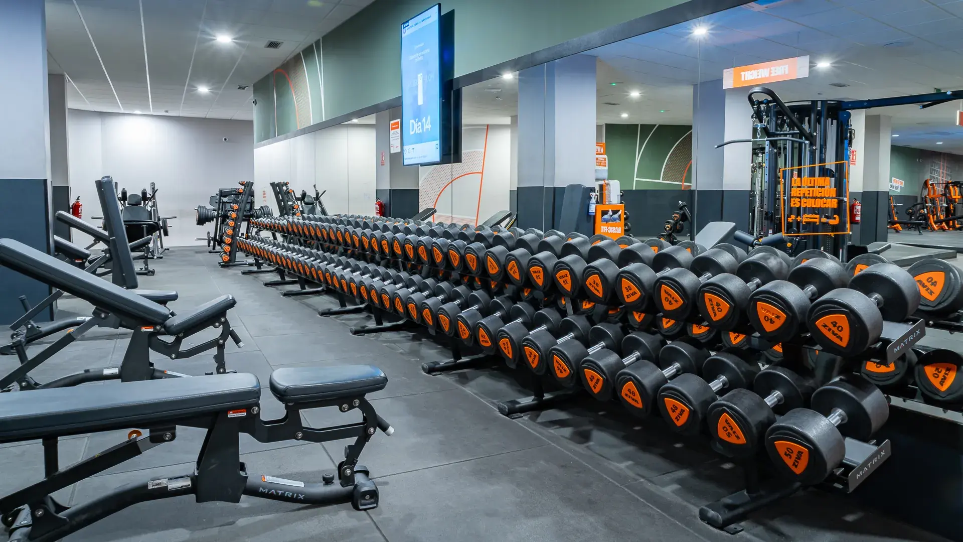 Galería de imágenes