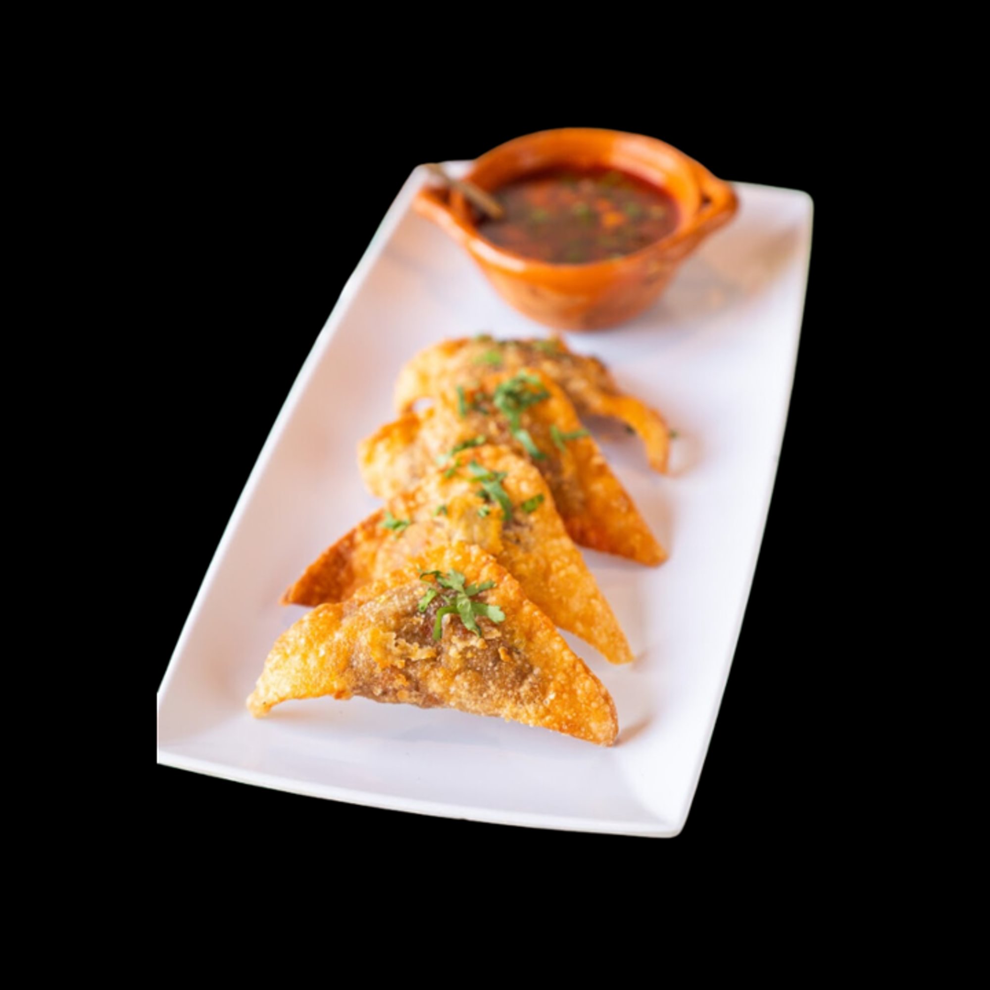 Crispy Quesabirria Rolls