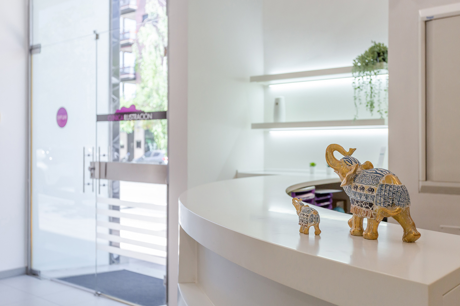 Galería en miniatura