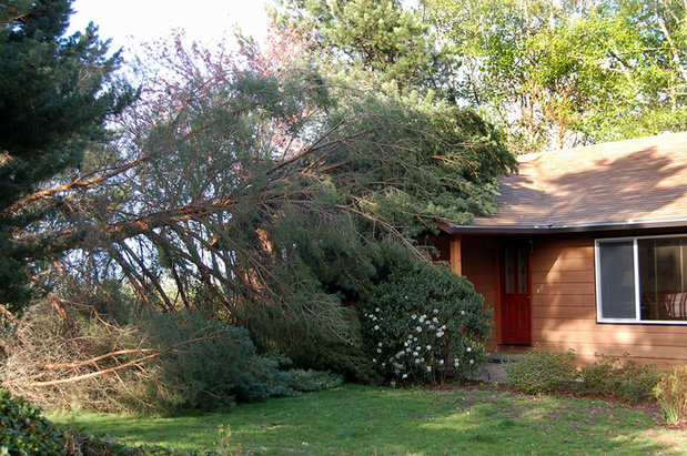 Images American Property Adjusters