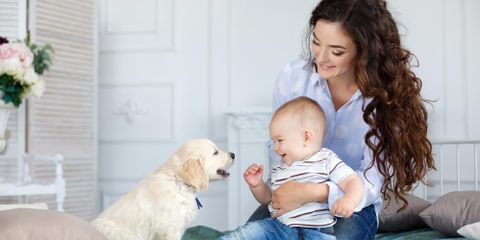 3 Tips to Prepare Your Pet for a Baby