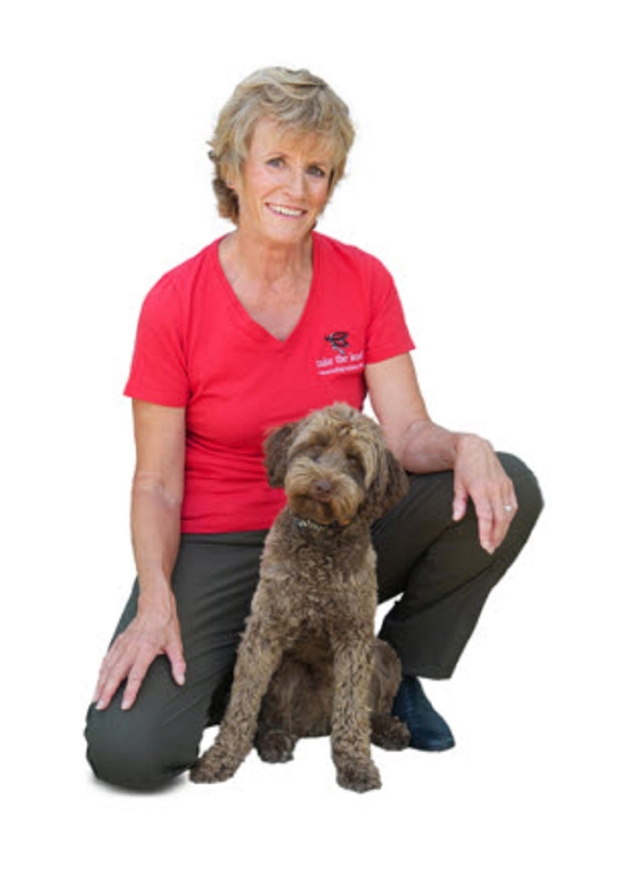 The Ontario Dog Trainer